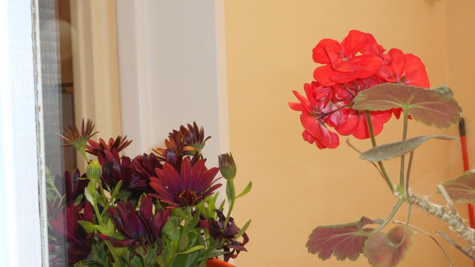 Elegant And Comfortable Apartment In The City Center Ermoupoli Dış mekan fotoğraf